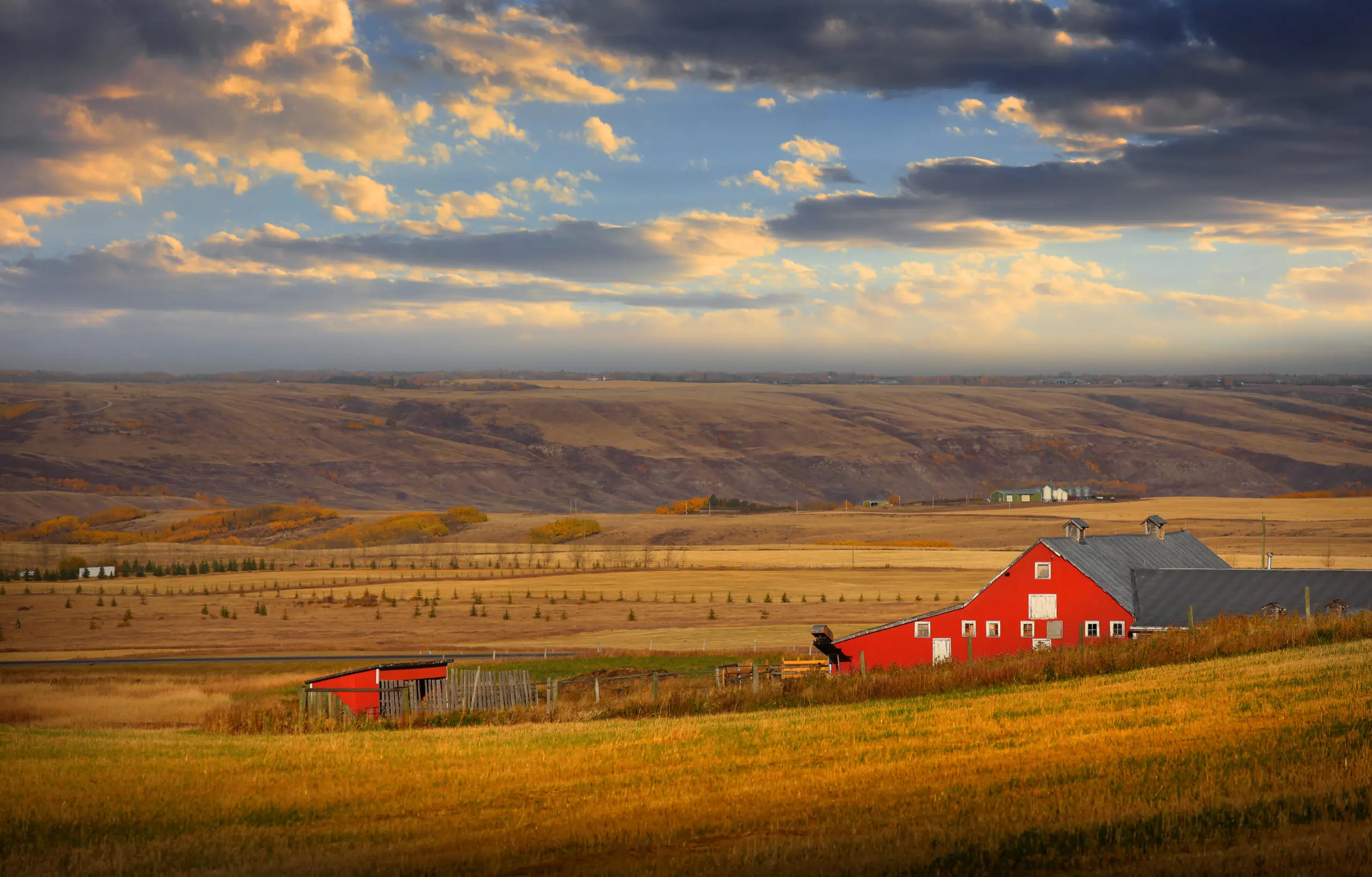 Westland Registries | Westland Insurance